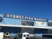 Tour thu đông úc: mono sydney 2025 cùng sacotravel 