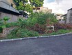 đất nguyên khê, 60m2, mt5m, 6 tỷ, đông anh, ô tô tránh, ngõ thông, gần...