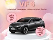 Vf vf6 đỉnh cao 