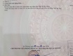đất đẹp   giá tốt   vị trí đắc địa tại minh kha,...