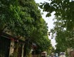 Bán nhà gò vấp, hẻm xe hơi lê đức thọ, 76m , 5 tầng, 5pn,...