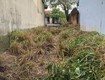 Hot hot   cần bán lô đất mặt tiền  tại phường điện nam...