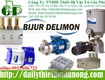 Bơm mỡ khí nén bijur delimon 