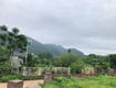 Hiếm  sở hữu lô đất đẹp   giá tốt tai lâm trường minh phú, sóc sơn,...