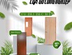 Cửa gỗ công nghiệp 