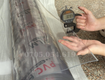 Giá sỉ cuộn nhựa pvc, trong suốt khổ lớn