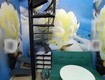 Cho thuê nhà trong ngõ văn hương 25m   3 tầng, 2 ngủ, ...