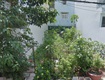 Đất vuông shr đ.8m 126m2   bình lợi bình thạnh s 