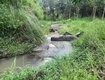 Bán 1000m2 đất giáp suối Ninh Hoà LH:0868750144 Lê Dân 