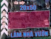 Đất trồng cây 20x50 tân hiệp, hóc môn tương lai 2mt đường ...