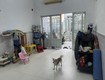 Bán nhà riêng dương bá trạc 57m2 5 pn sát mt nhà đẹp giá chỉ 6,9 tỷ, ctl...
