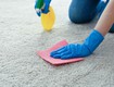 Thảm nhà bạn có thực sự sạch 