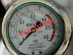 Đồng hồ áp suất 0 0.6MPa chính hãng tại Quảng Ngãi Phân phối bởi Dantek