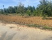 Em có đất thổ cư, kế bên quốc lộ 55 ở Bảo Lộc Có sẵn vườn sầu thái...
