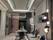 Nhà nhật trong tầm tay   tt avio chỉ từ 350 triệu không cần vay ngân hàng...