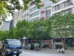 Cực hiếm, bán nhà mặt phố vip ba đình, vỉa hè rộng, 80m, mặt tiền 5m, kinh doanh...