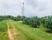 Bán 1825m2 đất thôn ba đăng tân hải lagi giá rẻ nhất 986k/m2