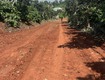 Nhanh tay khách đâu tư một lô siu rẻ ngợp banhk tại trung tâm liên...