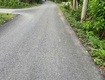 Bán đất và nhà ấp 2, xã bình chánh, huyện bình chánh, tp.hcm