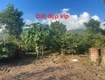 Mở bán lô đất f0 siêu phẩm , đất nghỉ dưỡng tại đại đình tam đảo...