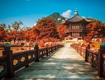 Du Lịch Việt   Chuyên cung cấp các tour du lịch Hàn Quốc chuyên nghiệp 