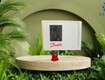 Danfoss kp36   công tắc áp suất cao cấp, chính xác, bền bỉ ...