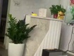 Bầu bì mình không làm được nữa nên cần sang lại spa với giá chỉ vài chục triệu...