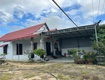 Chính chủ bán nhà xã cam hiệp khánh hòa đất đẹp, vị trí an...
