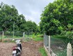 Chính Chủ Cần Xoay Vốn Nên Bán Gấp Lô Đất 1000m2 Vườn Cây Ăn Trái Lâu Năm Tại...
