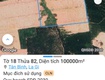 22ha lagi bình thuận đường đất xe tải thích hợp làm trang trại chăn nuôi