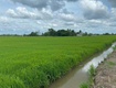 Bán lô đất đẹp   xã an ninh tây, huyện đức hòa, tỉnh long...