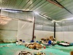 Chủ giảm sốc 800tr shr bán nhà xưởng 17 x 36m huỳnh thị...