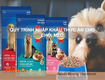 Quy trình nhập khẩu thức ăn cho chó mèo
