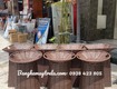 Sọt trưng bày trái cây cho siêu thị