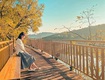 Cty du lịch việt   sự lựa chọn cho chuyến đi du lịch hàn...