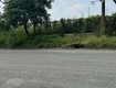 Bán đất 70x117m giá 39 tỷ cum công nghiệp nhị xuân