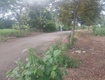 Chủ cần bán lô đất ở đô thị, diện tích 106m2 giá: 1ty200...