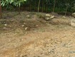 Bán lô đất giá chỉ 180tr dt:532,6m2   ngang 9m 
