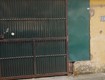 đất mặt phố văn hội, đức thắng, bắc từ liêm, gần học viện tài chính,...