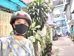 Bán nhà cách chỉ 10m ra gặp xe hơi đường đoàn văn bơ thông...