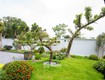 Sân vườn sau nhà   không gian xanh thư giãn và cân bằng phong...