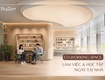 Co working space skyzen không gian làm việc đẳng cấp trong lòng dự...