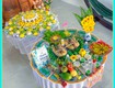 Nghi Lễ Khai Hoa Bắt Miếng Khi Cúng Mụ Cho Bé Là Gì 