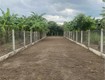 Bán lô đất vườn có thổ cư tại diên khánh, khánh hoà