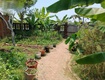 Cần bán nhà vườn view sông cái hòa phước hòa vang đà nẵng ...