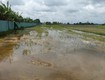 đất đẹp   chính chủ   giá tốt bán nhanh lô đất đẹp...