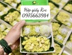 Hộp giấy nắp trong thiết kế đa dạng