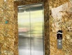 Tôi chủ nhà cho thuê nhà mới, căn góc, đào tấn, 100m2x 5t vỉa hè...