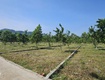 đất rẻ f0 gần đường hcm tại yên thủy, hòa bình giá 285tr  177m...
