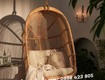 Xích đu mây tự nhiên 